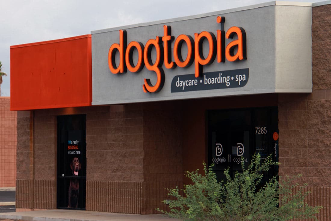 Dogtopia — Specialty TI project by ITDG